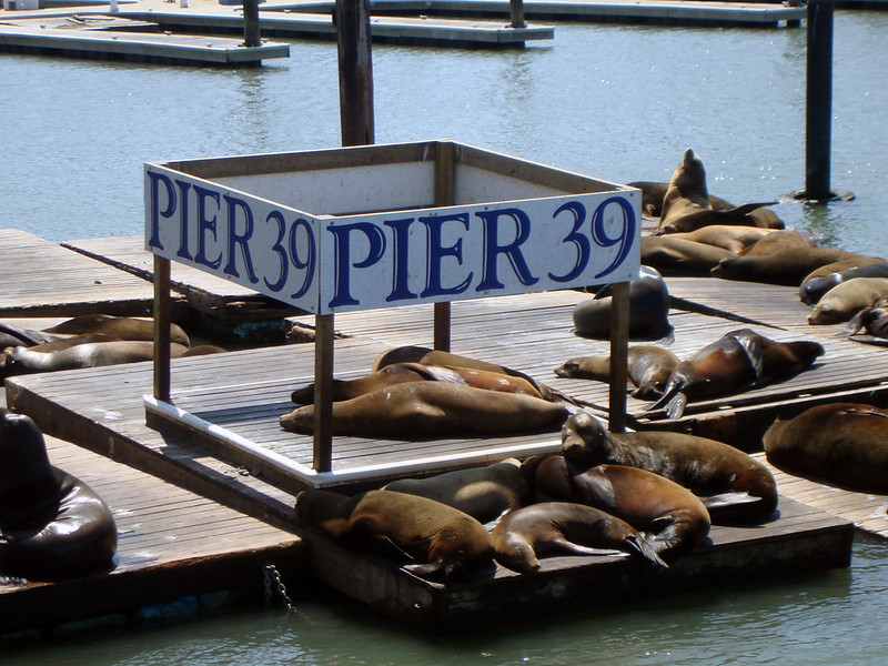 Pier 39 is a San Francisco Landmark