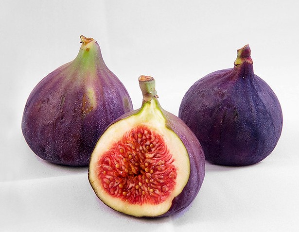 figs are a tasty addition to a container garden