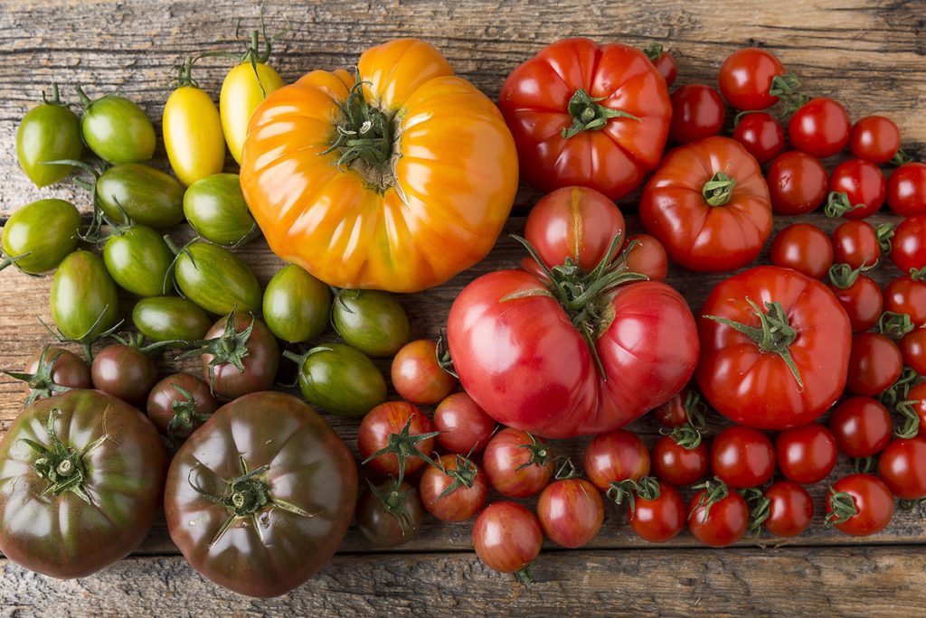Tomatoes are among the best vegetables to grow in Southern California