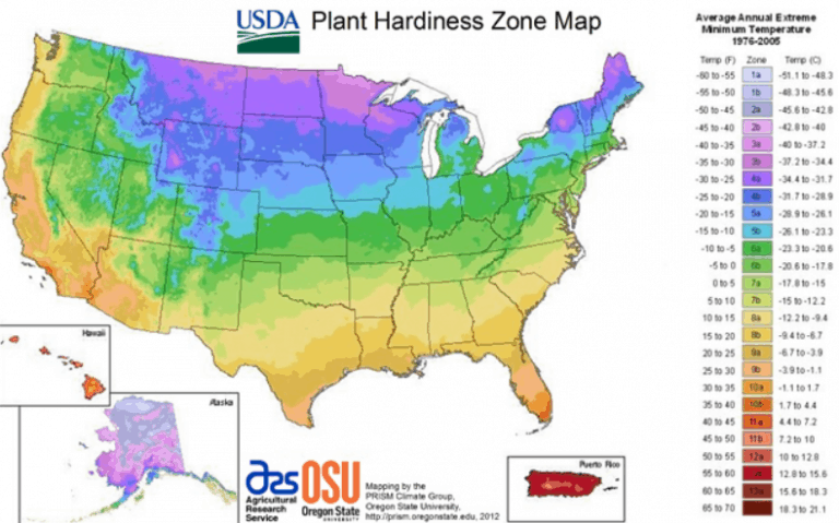 Check the USDA Plant Hardiness Map to determine when your last frost will pass.