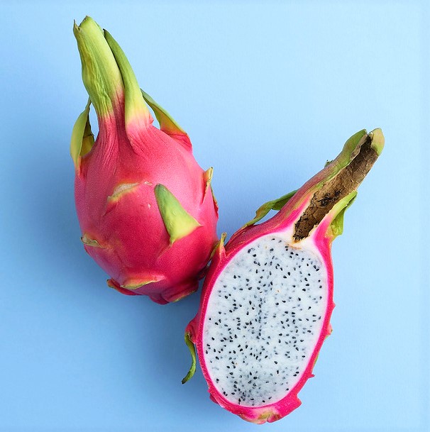 Dragon fruit are easy to grow in a container garden.