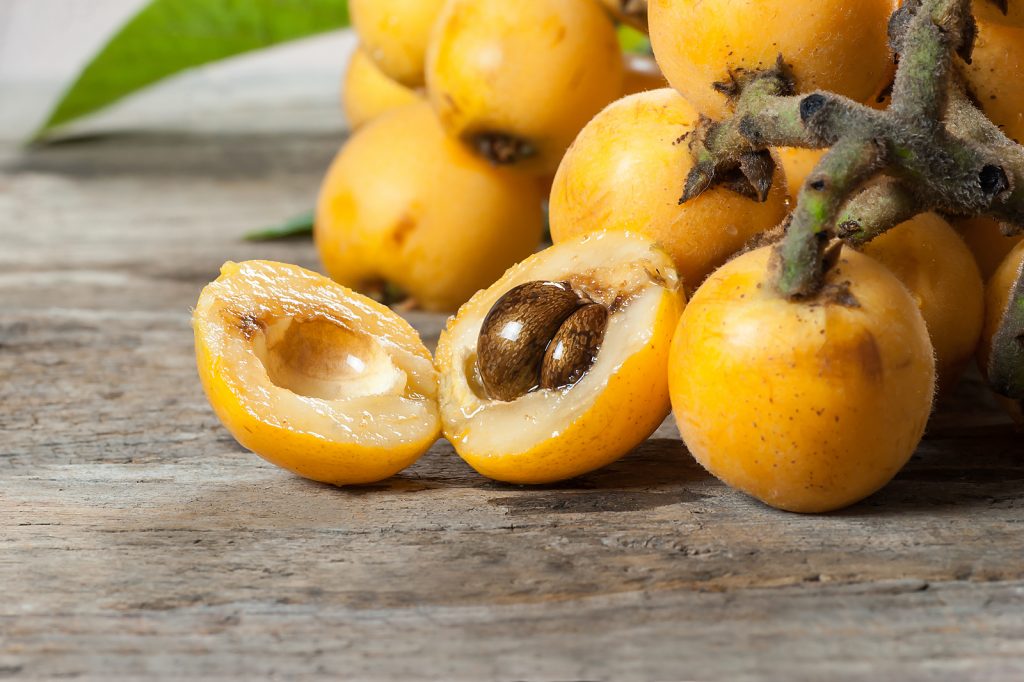 Loquats grow well in a container on a sunny patio
