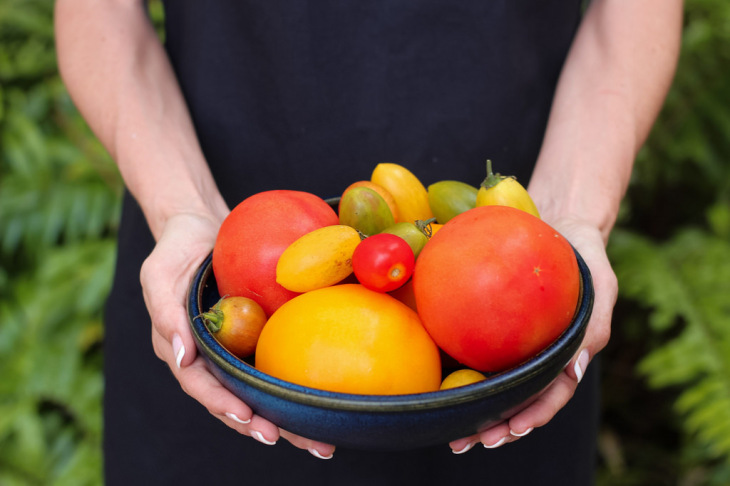 A Great Tomato Planting tip is to pick a variety of tomato types to plant in your garden. 