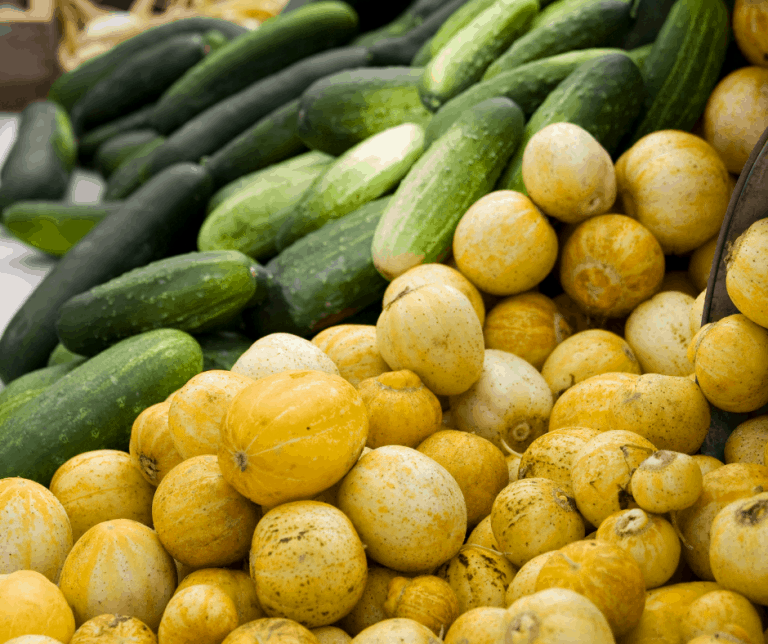 14 Best Vegetables to Grow in Southern California