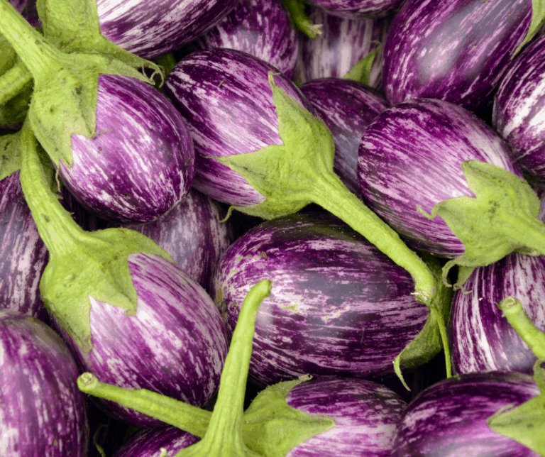 14 Best Vegetables to Grow in Southern California