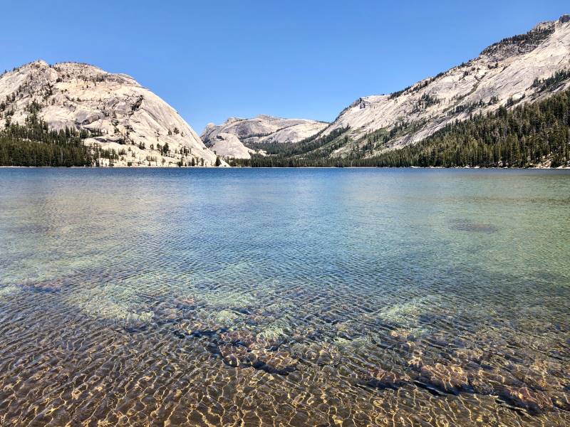 The walk around Tenaya Lake is one of the easy hikes in Yosemite. 