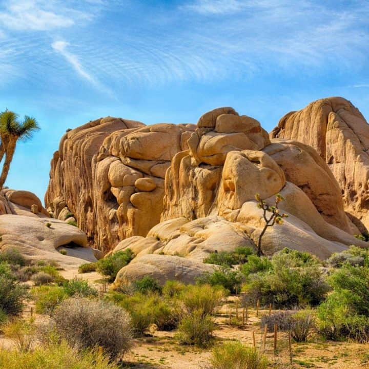 An Epic Joshua Tree Day Trip Itinerary- 10 Great Stops