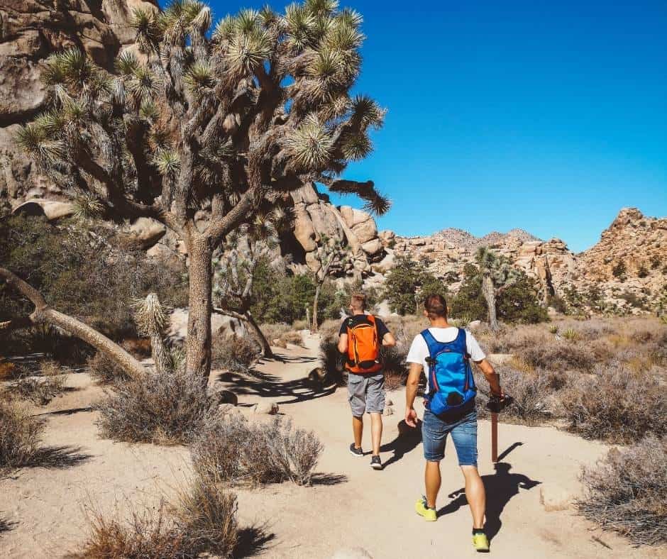 Make sure you bring proper gear on your Joshua Tree day trip