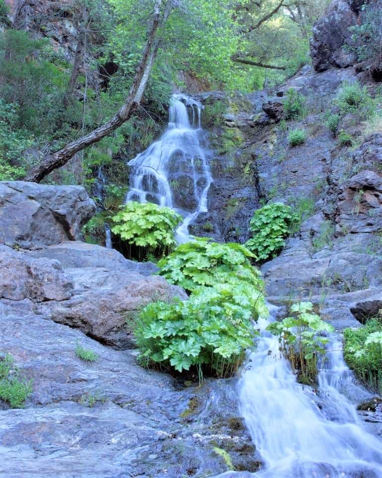 Codfish Creek Falls is a great hike near Sacramento