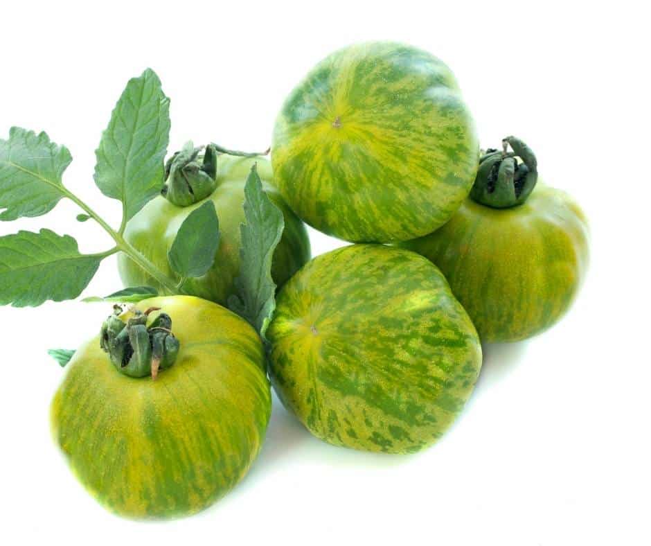 Green Zebra Tomatoes are some of the best heirloom varieties to grow in Southern California