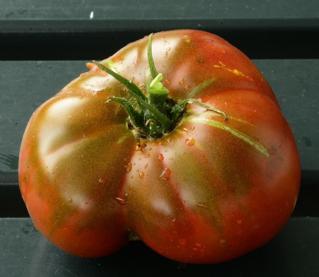 The Paul Robeson Tomato is one of the best tomatoes to grow in Southern California