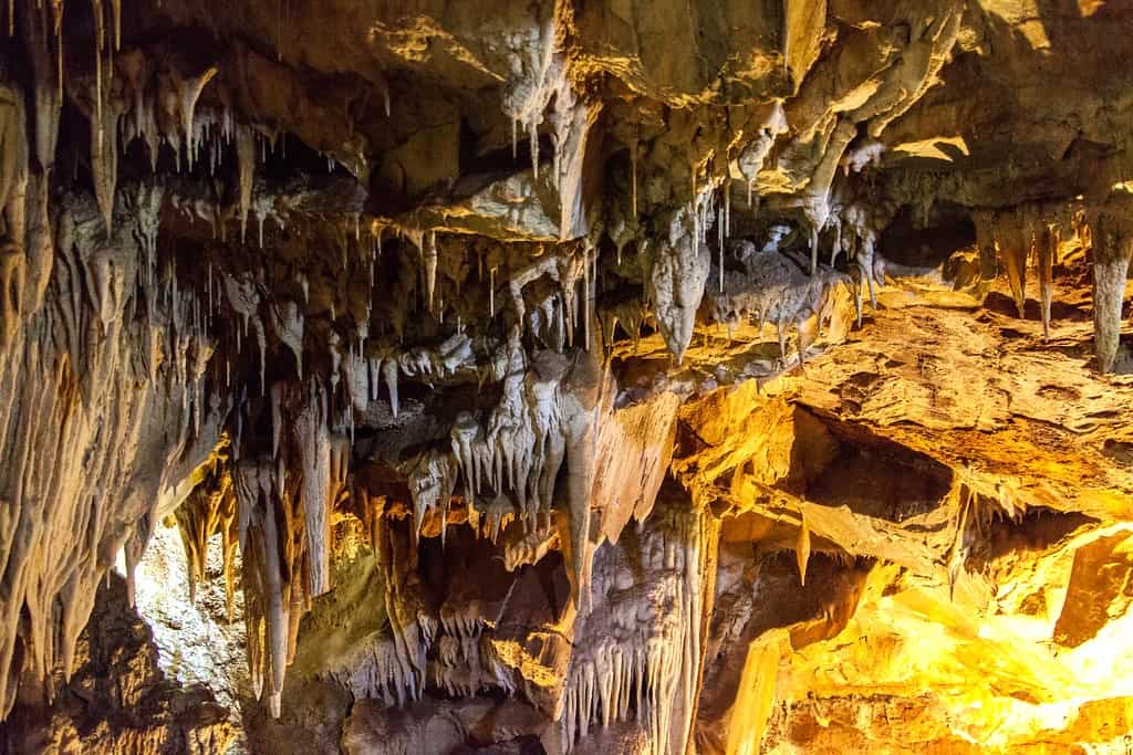 Mercer Caverns 