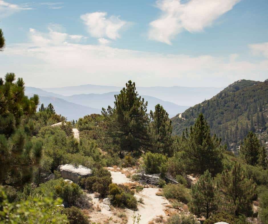 The Pacific Crest Trail cuts through Idyllwild