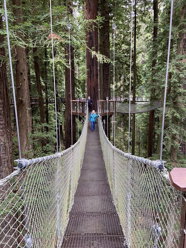 Sky Walk at the Sequoia Park Zoo