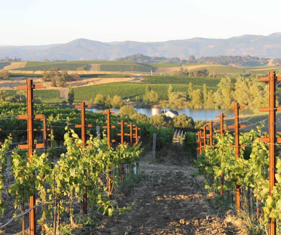 Napa Valley is a great day trip from Sacramento
