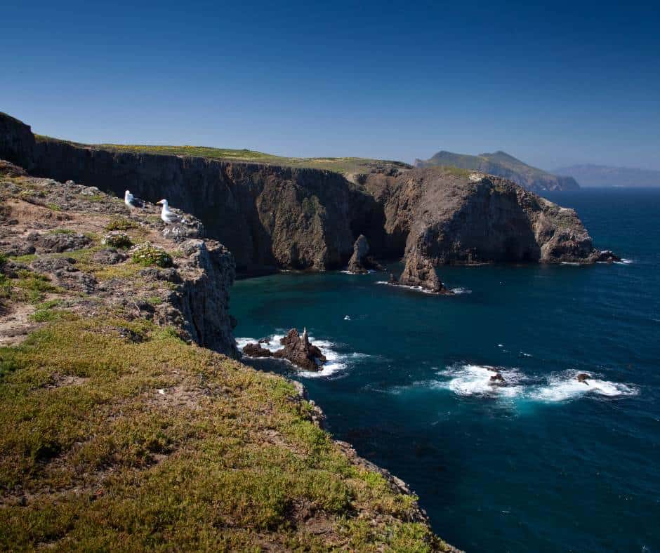Anacapa Island, Channel Islands National Park