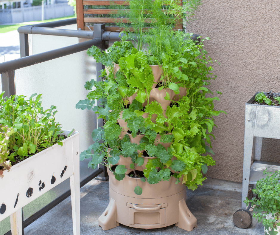 Balcony garden