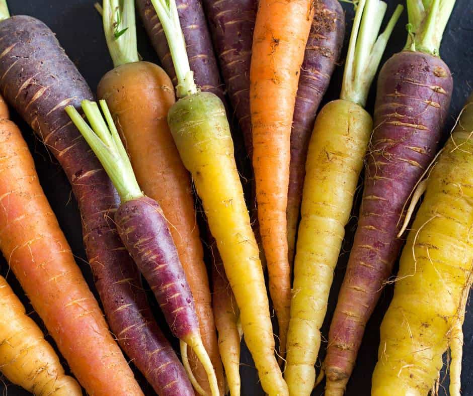 multi-color carrots