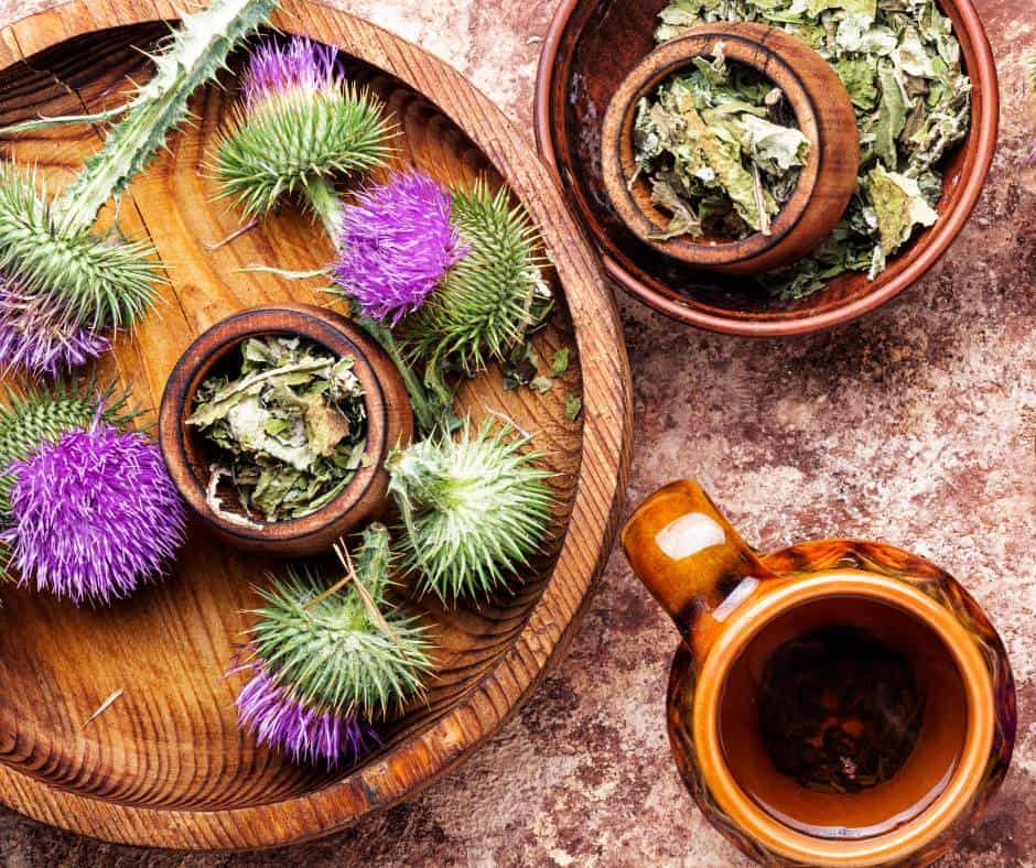 Milk Thistle is healing for the liver