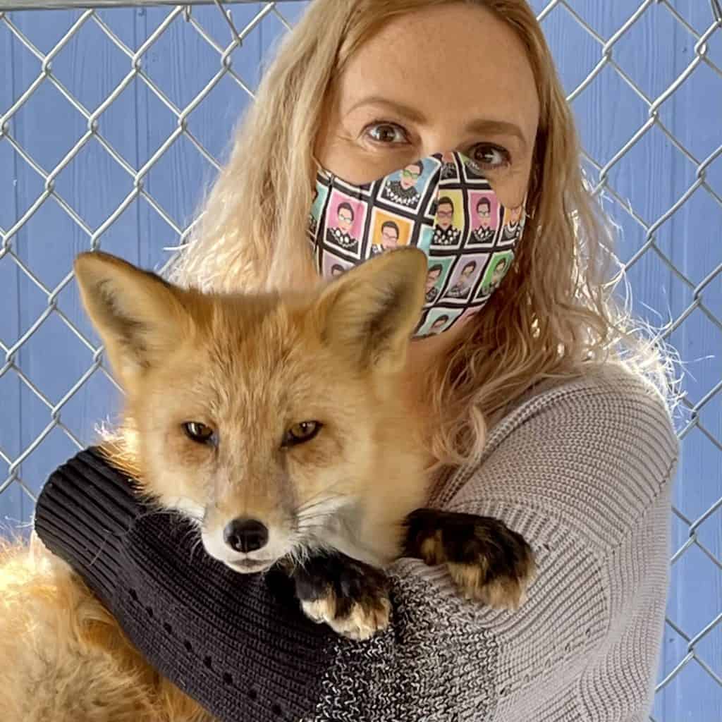 HUgging a fox
