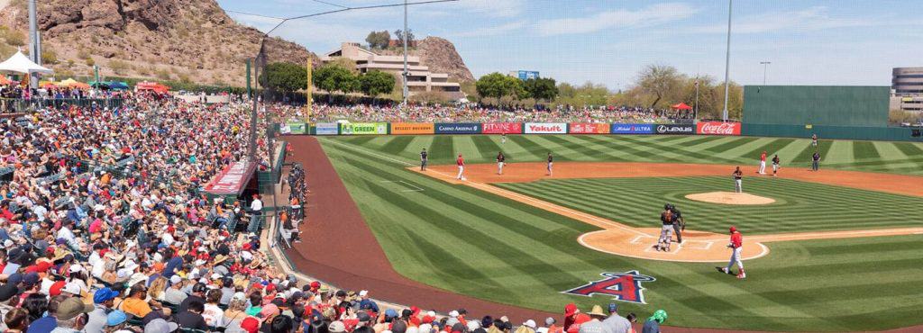 Spring Training in Phoenix
