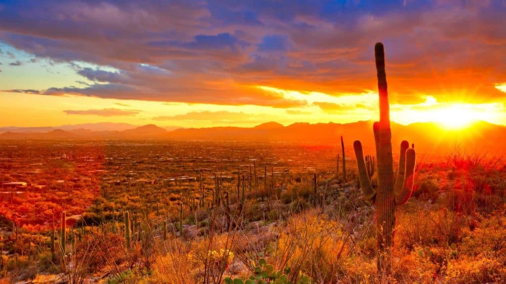 Visiting Tucson is a great road trip from San Diego