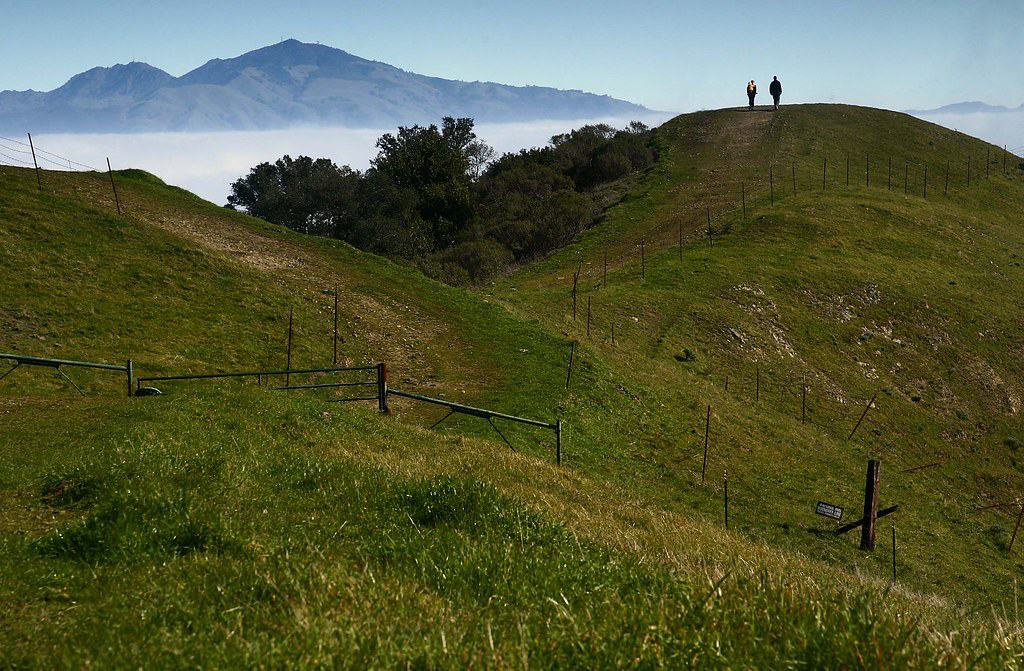 Sibley Volcanic Preserve near Oakland