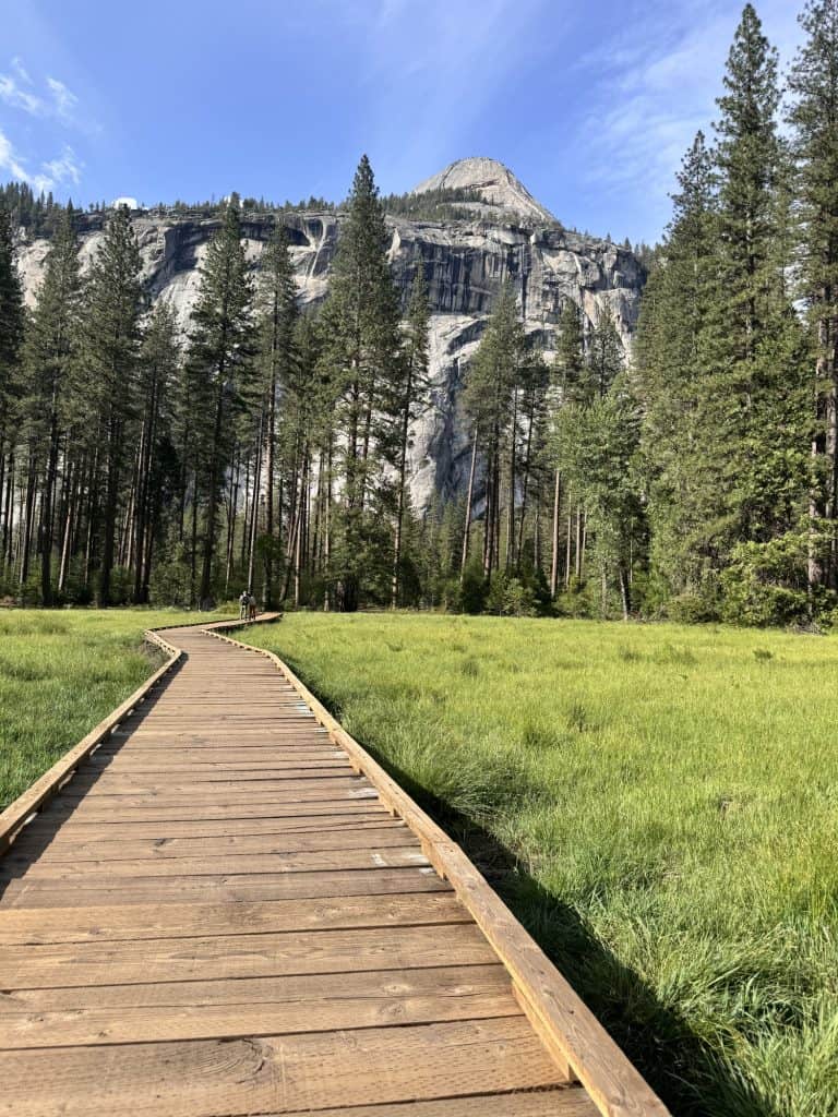 Cooks Meadow Boardwalk