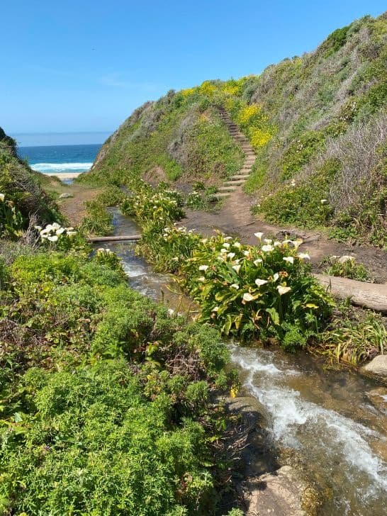 Cala Lilly Valley