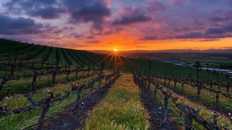 Livermore sunset