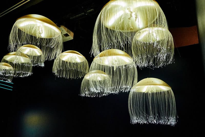 Jellyfish at Monterey Bay Aquarium