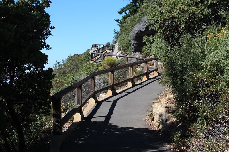 Verna Dunshee Trail