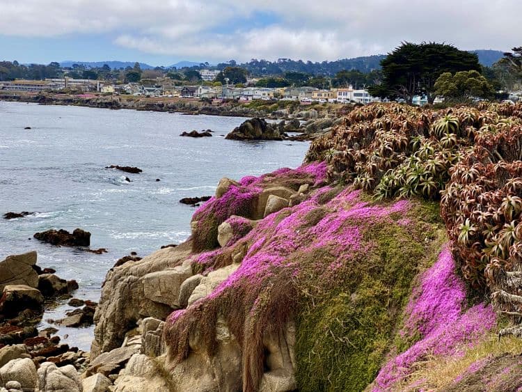 Pacific Grove