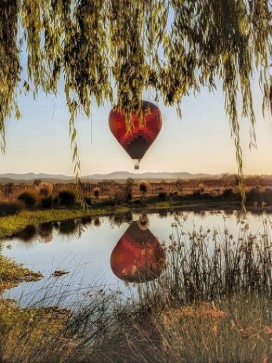Hot Air Ballooning in Sonoma County 